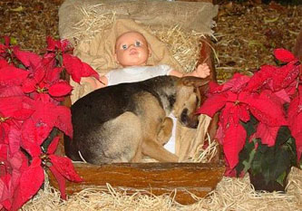 BabyJesusanddog